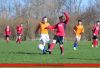 Filename=FotoJobse_190311_061.jpg
Filesize=154KiB
Dimensions=800x551
Date added=Mar 19, 2011 FotoJobse_190311_061.jpg