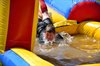 Filename=Fotojobse 300515_308.JPG
Filesize=109KiB
Dimensions=800x533
Date added=Jun 02, 2015 Fotojobse 300515_308.JPG