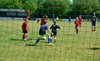 Filename=Fotojobse 300515_312.JPG
Filesize=155KiB
Dimensions=800x492
Date added=Jun 02, 2015 Fotojobse 300515_312.JPG
