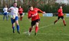 Filename=Fotojobse 270216_259.JPG
Filesize=123KiB
Dimensions=800x487
Date added=Feb 28, 2016 Fotojobse 270216_259.JPG