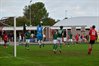 Filename=DSC_7251.JPG
Filesize=100KiB
Dimensions=799x533
Date added=Sep 20, 2026 DSC_7251.JPG
