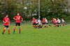 Filename=DSC_7078.JPG
Filesize=146KiB
Dimensions=800x533
Date added=Sep 20, 2026 DSC_7078.JPG
