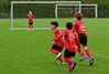 Filename=DSC_6916.JPG
Filesize=82KiB
Dimensions=799x543
Date added=Sep 20, 2026 DSC_6916.JPG