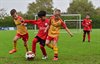 Filename=DSC_6929.JPG
Filesize=91KiB
Dimensions=800x517
Date added=Sep 20, 2026 DSC_6929.JPG