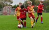 Filename=DSC_6933.JPG
Filesize=87KiB
Dimensions=800x502
Date added=Sep 20, 2026 DSC_6933.JPG