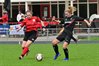 Filename=DSC_7093.JPG
Filesize=96KiB
Dimensions=799x533
Date added=Sep 20, 2026 DSC_7093.JPG