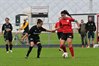 Filename=DSC_7187.JPG
Filesize=91KiB
Dimensions=799x533
Date added=Sep 20, 2026 DSC_7187.JPG