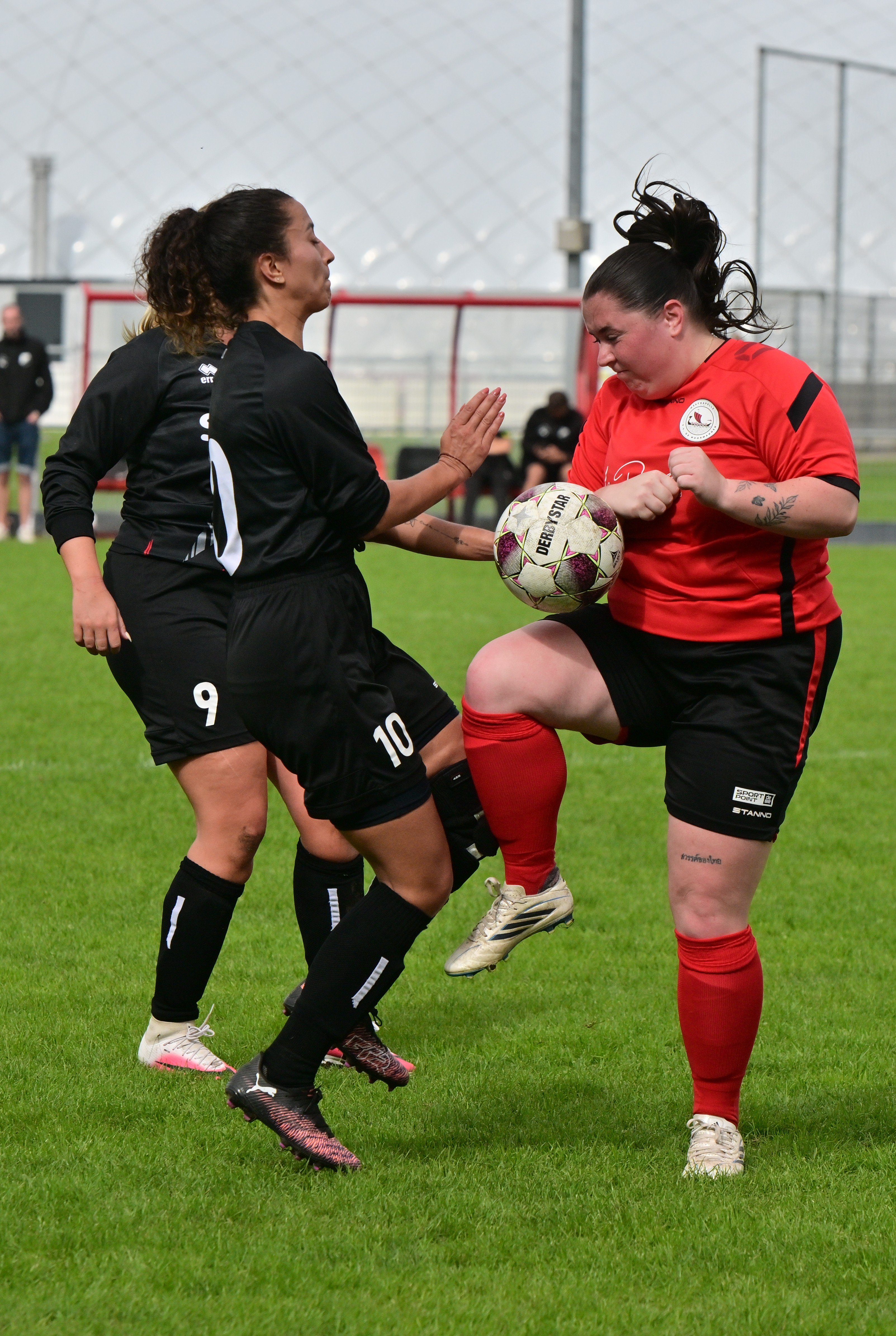 Filename=DSC_7189.JPG
Filesize=2381KiB
Dimensions=3206x4781
Date added=Sep 20, 2026 DSC_7189.JPG