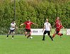 Filename=DSC_7281.jpg
Filesize=169KiB
Dimensions=799x608
Date added=Oct 04, 2026 DSC_7281.jpg