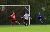 DSC_7339.jpg