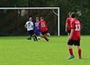 DSC_7343.jpg