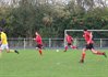 IMG_4686.JPG