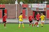 Filename=DSC_7038.JPG
Filesize=110KiB
Dimensions=800x533
Date added=Sep 20, 2026 DSC_7038.JPG