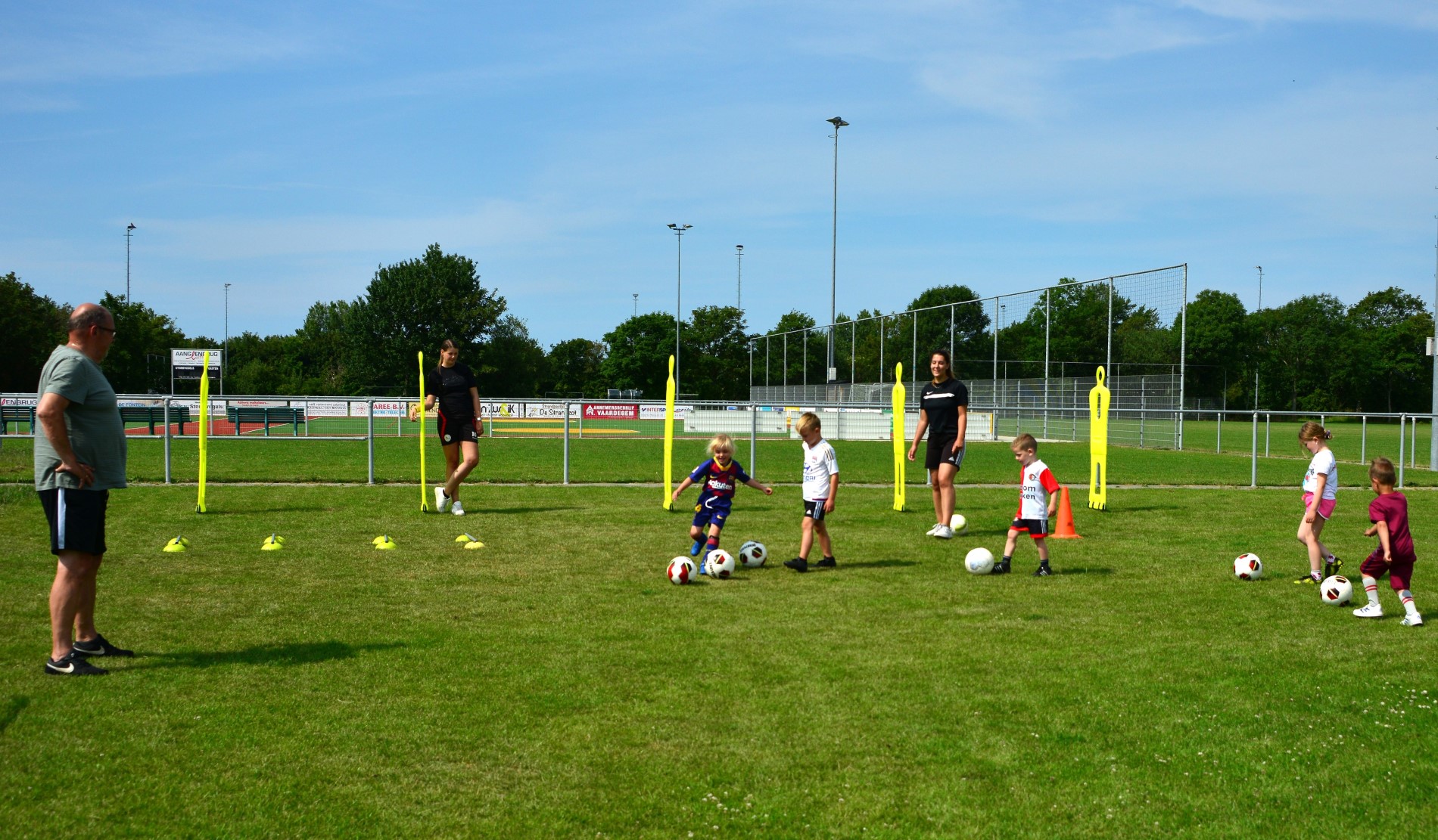 De Noormannen mini's